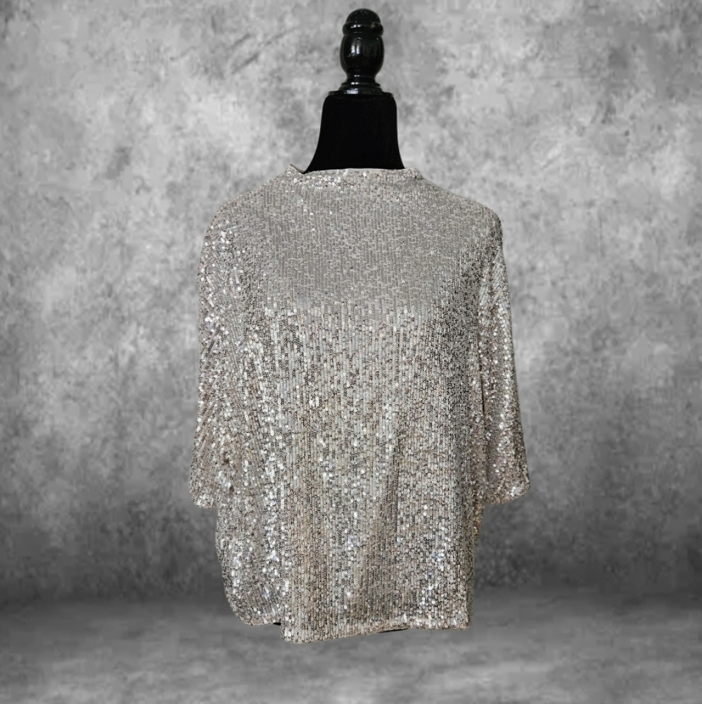 H&M Silver Sequin Top